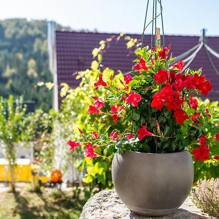 Apartment Rennbachtal